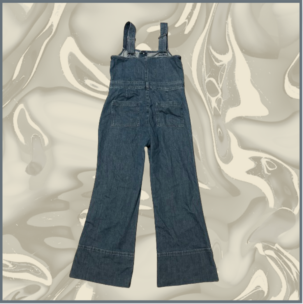 dark wash denim aerie overalls