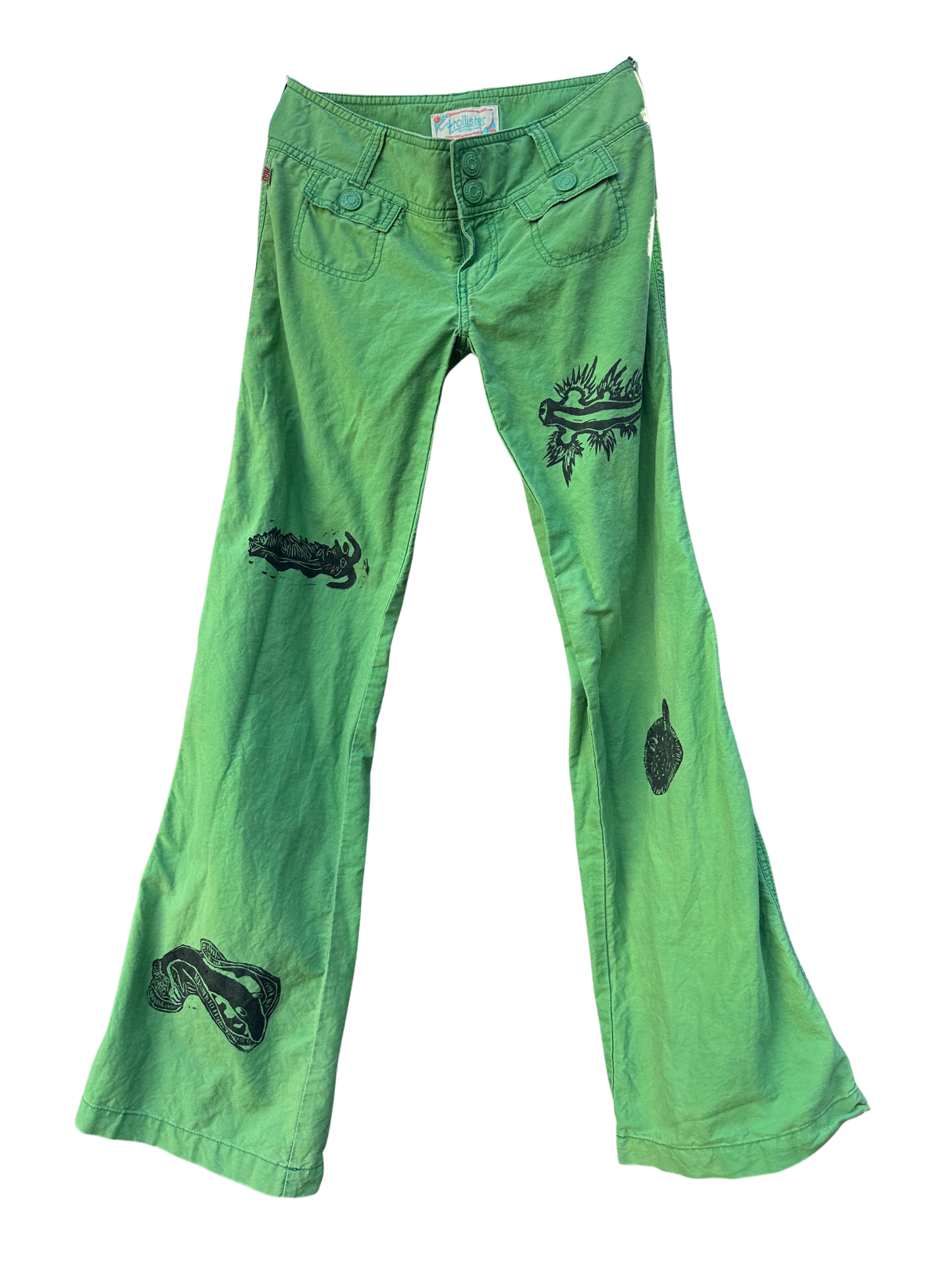 green hollister pants with nudibranchs