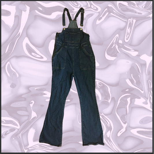 dark wash denim overalls