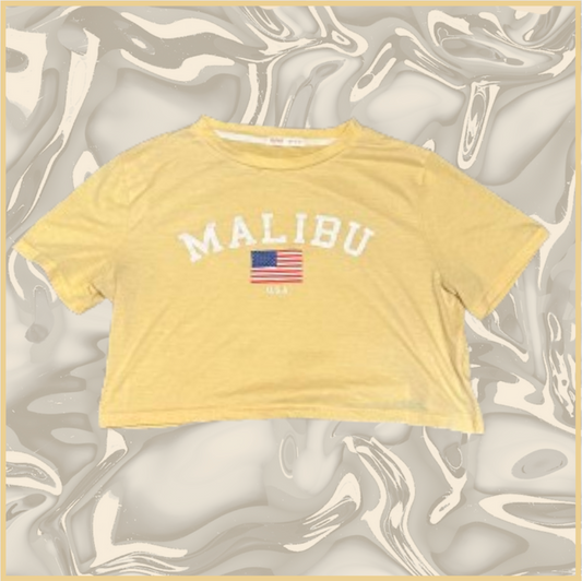 light yellow "malibu" crop top with american flag embroidery