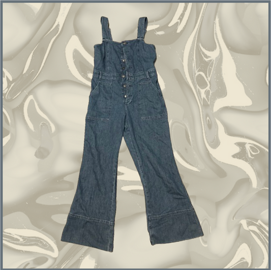 dark wash denim aerie overalls