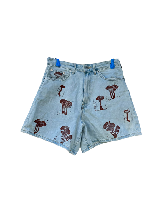 everlane high waisted shorts