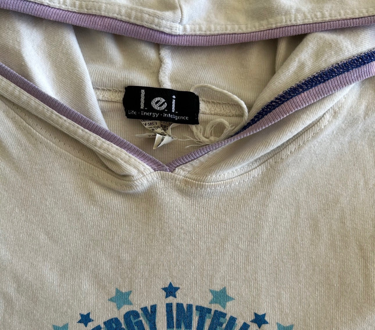 LEI 2000s Mini Hoodie